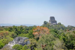 From Belize: Tikal Day Trip with Lunch and Border Crossing