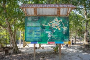 From Belize: Tikal Day Trip with Lunch and Border Crossing