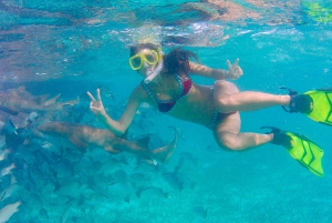 From Caye Caulker: Marine Reserve Snorkeling Tour