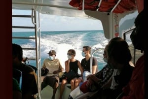 Transfer from Flores Guatemala: to San Pedro Ambergris Belize Bus + Ferry