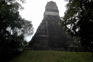 From San Ignacio: Tikal Maya Site Day-Trip with Local Lunch