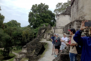 From San Ignacio: Tikal Maya Site Day-Trip with Local Lunch
