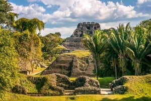 From San Ignacio: Xunantunich Mayan Tour & Optional Combos