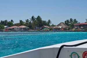 From Your Hotel in San Ignacio to Caye Caulker/Van + Ferry