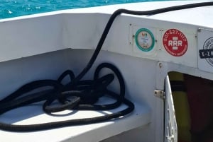 From Your Hotel in San Ignacio to Caye Caulker/Van + Ferry