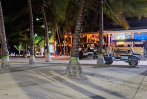 From Your Hotel in San Ignacio to Caye Caulker/Van + Ferry