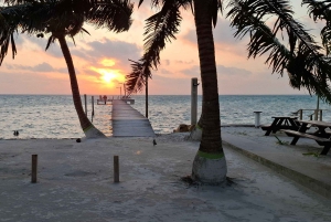 From Your Hotel in San Ignacio to Caye Caulker/Van + Ferry