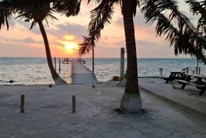 From Your Hotel in San Ignacio to Caye Caulker/Van + Ferry