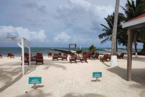From Your Hotel in San Ignacio to Caye Caulker/Van + Ferry