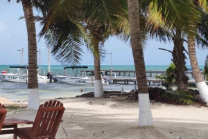 From Your Hotel in San Ignacio to Caye Caulker/Van + Ferry