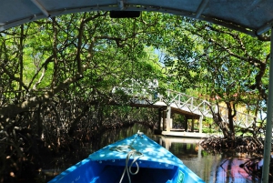 Historia Garífuna con Visita al Túnel del Mono/Perezoso y el Manglar
