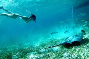 Best tours in Belize