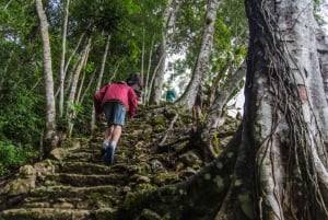 Half-Day Tour to the Heart of Maya Civilization in Belize