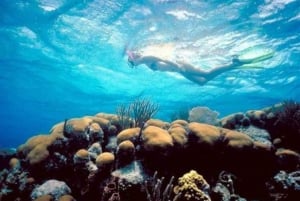 Snorkeling Mexico Rocks & Tres cocos