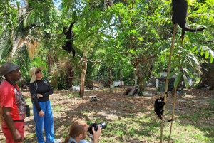 Howler Monkey Sanctuary Tour from Belize City