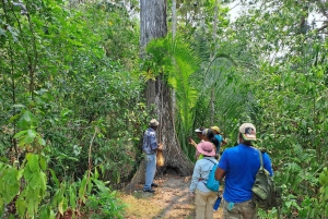 Howler Monkey Sanctuary Tour from Belize City