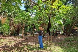 Howler Monkey Sanctuary Tour from Belize City