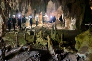 Supervivencia en la Jungla y Expedición a Cuevas 4 Días