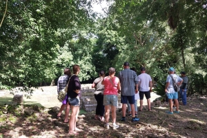 Lamania : Lamanai Mayan Ruins and River Boat Tour