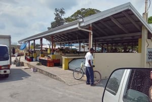 Lamania Tour pickup from Orange Walk drop of Belize City