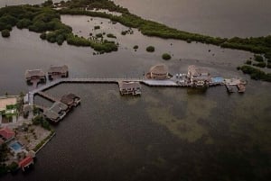 Live Drums with Sunset and Dinner.
