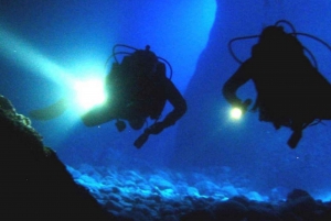 local scuba night dive