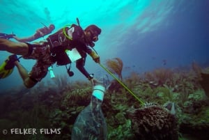 Marine Conservation SCUBA Trip in Belize