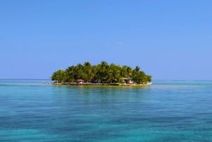 Marine Conservation SCUBA Trip in Belize