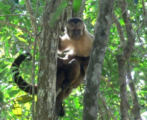 Parque Nacional de Monkey Bay