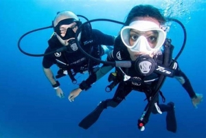 PADI Discover Scuba Diving: at Hol Chan Marine Reserve