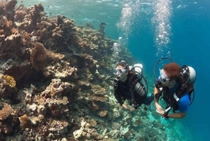PADI Discover Scuba Diving: at Hol Chan Marine Reserve