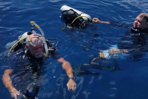 PADI Discover Scuba Diving: at Hol Chan Marine Reserve