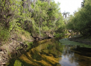 Payne's Creek National Park