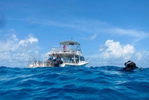 Placencia: Buceo para Principiantes con Exploración de Arrecifes