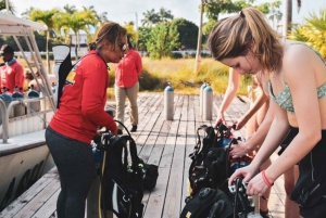 Placencia: Buceo para Principiantes con Exploración de Arrecifes