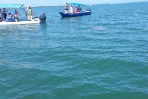 Placencia: paseo en barco por el río Monkey, ruta de senderismo por la selva y almuerzo