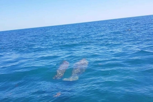 Placencia: paseo en barco por el río Monkey, ruta de senderismo por la selva y almuerzo