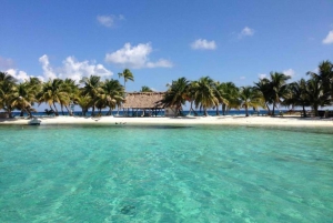 Placencia: Snorkel & Island Experience at Laughing Bird Caye