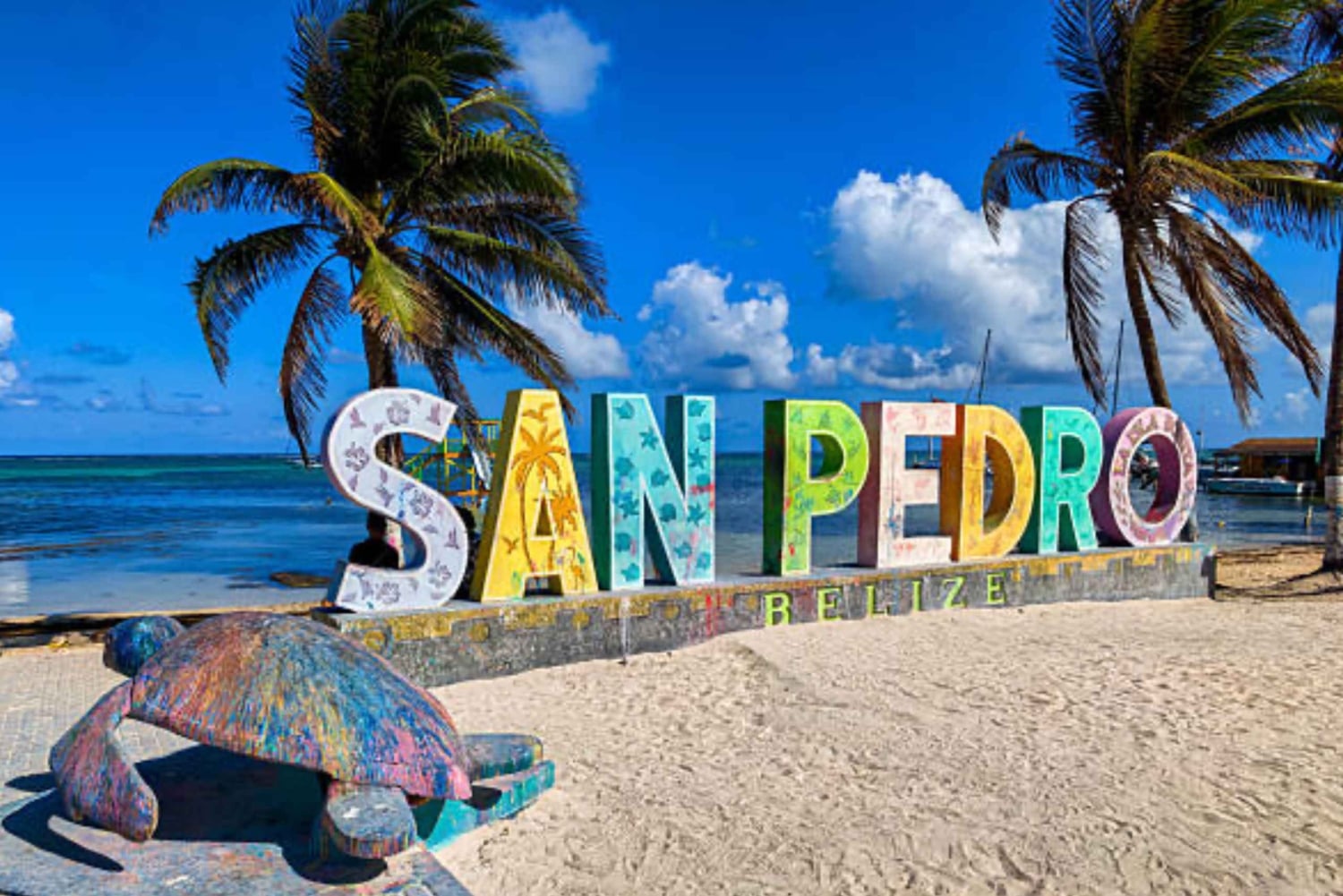 Private Belizean Food Experience in San Pedro