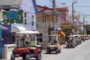 Private Belizean Food Experience in San Pedro