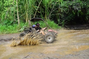 Punta Gorda ATV Buggy Tour with Jungle Trails & Beach Stop