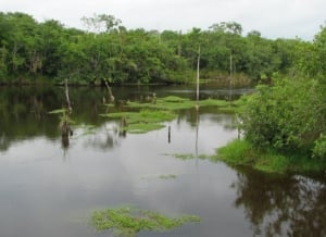 Conservación y gestión del Río Bravo