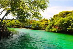 Roatan: East Island Tour with Mangrove