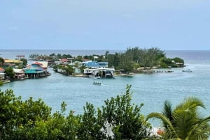 Roatan: East Island Tour with Mangrove