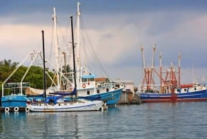 Roatan: East Island Tour with Mangrove