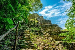 San Ignacio: Caracol Maya Ruins & Waterfall Tour with Lunch