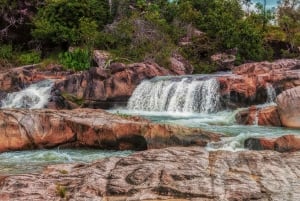 San Ignacio: Excursión a las Ruinas Mayas del Caracol y la Cascada con Comida