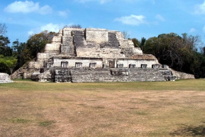 San Pedro: tour por Altún Ha y el santuario de babuinos con almuerzo