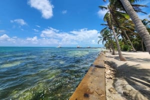 San Pedro: Beach BBQ Excursion with Stay at Cozy Caye …