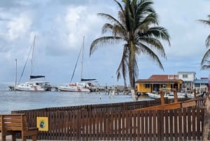 San Pedro: Beach BBQ Excursion with Stay at Cozy Caye …